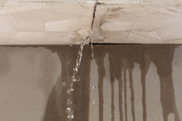 Professional Water Extraction technician working in Roslyn Heights, NY